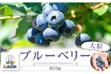 AS-418 【先行予約】特選ブルーベリー 800g（100g×8） 【7月以降順次発送】(B-2)