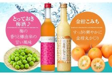 AS-838　飲み比べ かごしま ほろよいセット（とっておき梅酒♪・金柑こみち） 各500ml 田苑酒造