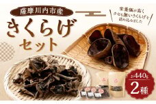 AS-059 【数量限定・無農薬】薩摩川内市産のきくらげセット（生きくらげ・乾燥きくらげ）