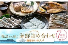 【3/31まで受付】AS-710　【訳あり】甑島の海鮮詰め合わせ(いか) ※あじ小さめ