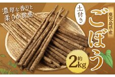 ZS-714 鹿児島県産 土付きごぼう 約2kg【2026年1月上旬～3月下旬発送予定】