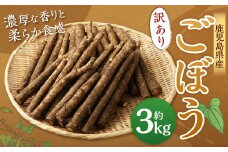 ZS-636 鹿児島県産 土付き ごぼう 約3kg【規格外・訳あり品】【2026年1月上旬～3月下旬発送予定】