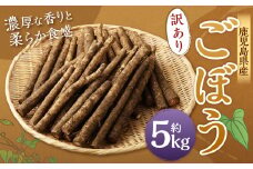 AS-075 鹿児島県産 土付き ごぼう 約5kg【規格外・訳あり品】【2026年1月上旬～3月下旬発送予定】