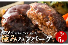 BS-104 【鹿児島県産黒毛和牛】薩摩川内育ちの「のざき牛」をふんだんに使った極みハンバーグ(180×5個) 【翌月下旬発送】 牛肉「11月30日入金完了分まで年内発送可能」
