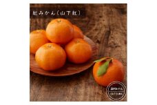 AS-2009 【ご家庭用・訳あり】 紅みかん（山下紅） 5kg