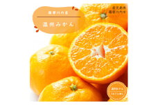 BS-103 【ご家庭用・訳あり】 鹿児島県産温州みかん 10kg