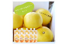 BS-329 【先行予約】【訳あり】飲むみかんゼリーと鹿児島県産サワーポメロのセット（ご家庭用）SDGs