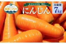 ZS-959-12  【冷蔵便】かごしま美味人参 愛紅 7kg 【12月発送】 にんじん ニンジン