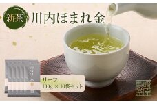 DS-301 【期間限定】【先行予約】新茶 川内ほまれ【金】 計1kg（100g×10パック） 崎原製茶 お茶 緑茶 煎茶