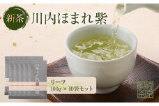 FS-402 【期間限定】【先行予約】新茶 川内ほまれ【紫】煎茶 計1kg（100g×10パック）崎原製茶 お茶 緑茶