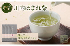 BS-005 【期間限定】【先行予約】新茶 川内ほまれ【紫】煎茶 計300g（100g×3パック）崎原製茶 お茶 緑茶