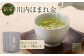 川内ほまれ【金】煎茶ティーバック 計36パック