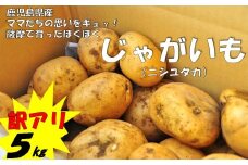 ZS-645 【訳アリでお得！】ママたちの思いをギュッ！薩摩で育ったほくほくじゃがいも5㎏（ニシユタカ） 期間限定