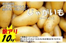 ZS-730 【訳アリでお得！】ママたちの思いをギュッ！薩摩で育ったほくほくじゃがいも10㎏（メークイン） 期間限定