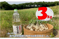 AS-524 【先行予約】唐浜砂丘らっきょう（生）Mサイズ 3kg ＋ らっきょう酢 1.8L 唐浜 砂丘 らっきょう ラッキョウ