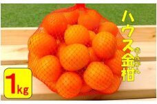 ZS-767【先行予約】【2024年12月中旬より発送開始】ハウス金柑　1kg Ｊ＆Ｙファーム
