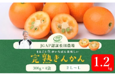 AS-2110 【先行予約】【2023年12月中旬より発送開始】きんかん 計1.2kg（300g×4袋） 2L～L級 松田農場