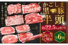 KSR-309 【隔月5回定期便】かごしま黒豚半頭 合計約22.5kg