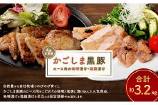 GS-022 【4回定期便】かごしま黒豚ロースの味噌漬け・塩麹漬け食べ比べ (合計 約3.2kg)