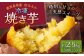 A-0245 紅はるか 冷凍焼芋 約2.5kg(約500g×5袋)