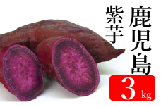 ZS-663 【先行予約】鹿児島県産紫芋 3kg  吉永農園 むらさき芋 さつまいも アントシアニン 食物繊維 ポリフェノール 数量限定 期間限定 調理 焼き芋 芋 鹿児島県 薩摩川内市 送料無料