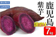ZS-942【先行予約】【訳アリ】鹿児島県産紫芋 7kg 吉永農園 さつまいも アントシアニン 数量限定 期間限定 調理 焼き芋 芋 鹿児島県 薩摩川内市 送料無料