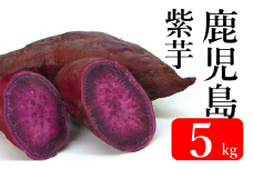 ZS-734 【先行予約】鹿児島県産紫芋　5kg  吉永農園 紫芋 さつまいも アントシアニン 数量限定 期間限定 調理 焼き芋 芋 鹿児島県 薩摩川内市 送料無料