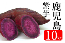 AS-447 【先行予約】鹿児島県産紫芋　10kg  吉永農園 さつまいも むらさき芋 アントシアニン 食物繊維 ポリフェノール 食卓 彩 お弁当 数量限定 期間限定 調理 焼き芋 芋 鹿児島県 薩摩川内市 送料無料