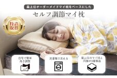 ES-901 セルフ調整マイ枕