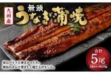 DS-102-01 【2024年1月発送】九州産 無頭うなぎ蒲焼 約170g×5尾 計850g