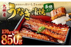 九州産 無頭うなぎ蒲焼 約170g×5尾 計850g　国産 鹿児島 うなぎ 蒲焼 個包装 小分け こだわり 秘伝 タレ DSR-102