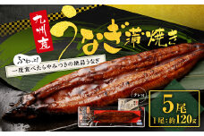CS-306-03 【通年受付】九州産うなぎ蒲焼き 5尾 合計約600g(約120g×5尾) タレ付