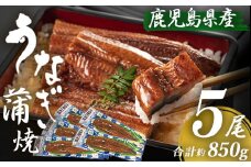 DS-101-02 【2024年2月発送】 鹿児島県産うなぎ蒲焼き 5尾(約170g)×5尾