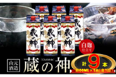 FS-503 【3回定期便】蔵の神パック（25度）1800ml×3本×3回 定期便 （計16,200ml）  