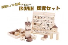 JS-108 薩摩川内市産ヒノキ IKONIH 知育セット