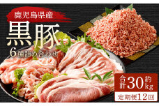LS-302 【12ヶ月定期便】鹿児島県産黒豚 6種詰合せ(約2.5kg×12回)