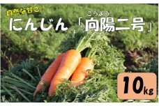 AS-062 【季節限定】農家直送 人参 向陽二号 A品 10kg