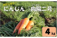 ZS-672 【季節限定】農家直送 人参 向陽二号 A品 4kg