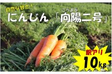 ZS-741 【季節限定】【訳アリ】農家直送 人参 向陽二号 10kg