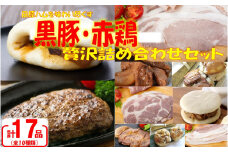 BS-366 【4月30日まで受付】【季節限定】田原ハム黒豚・赤鶏贅沢詰め合わせセットA 合計1.7㎏