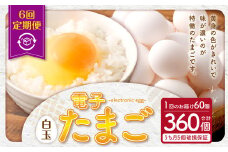 DS-911 【6ヶ月定期便】電子たまご(白玉) 合計360個(60個×6回)