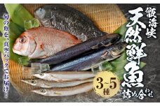 AS-537 【配送指定日必須】甑海峡 天然鮮魚詰め合わせセット