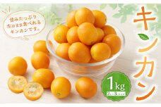 ZS-683 キンカン 1kg