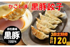 BS-820 【3回定期便】かごしま黒豚餃子 合計120個 ぎょうざ ギョーザ 薩摩八重ファーム 工房みかく亭