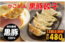 JS-110 【12回定期便】かごしま黒豚餃子 合計480個 ぎょうざ ギョーザ 薩摩八重ファーム 工房みかく亭