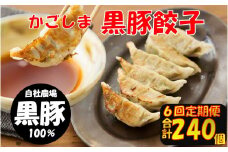 ES-503 【6回定期便】かごしま黒豚餃子 合計240個 ぎょうざ ギョーザ 薩摩八重ファーム 工房みかく亭