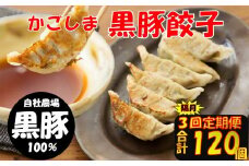 BS-819 【隔月3回定期便】かごしま黒豚餃子 合計120個 ぎょうざ ギョーザ 薩摩八重ファーム 工房みかく亭