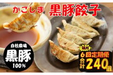 ES-502 【隔月6回定期便】かごしま黒豚餃子 合計240個 ぎょうざ ギョーザ 薩摩八重ファーム 工房みかく亭