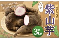 AS-2143 希少！鹿児島県産 紫山芋 約3kg 【2024年11月下旬より順次発送】