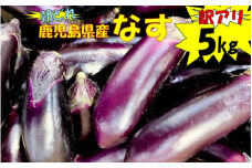 【訳アリ】【朝どれ】 鹿児島県産ナス  5kg  季節限定 農家直送 鹿児島県産 ZS-784